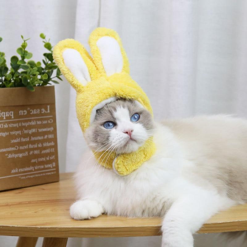 RabbitHat™ - Accessoire de déguisement pour chat - Chat alors