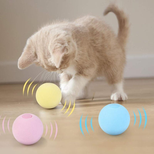 SmartBall™ - Balle intelligente d'apprentissage pour chat - Chat alors