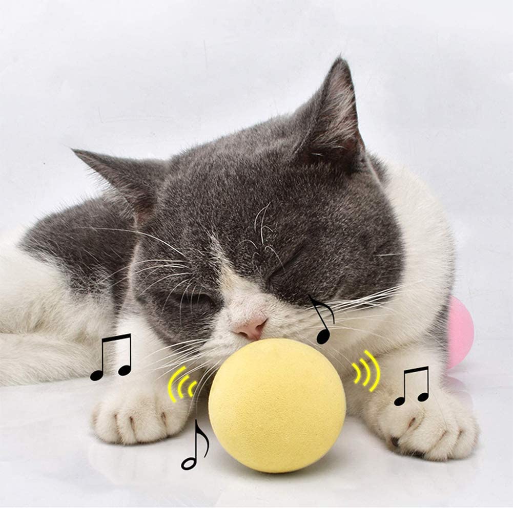 SmartBall™ - Balle intelligente d'apprentissage pour chat - Chat alors